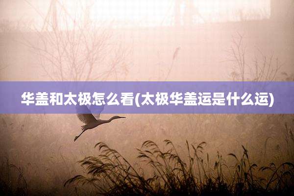 华盖和太极怎么看(太极华盖运是什么运)