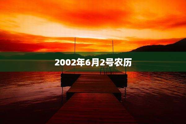 2002年6月2号农历