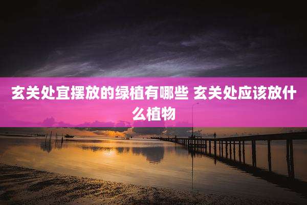 玄关处宜摆放的绿植有哪些 玄关处应该放什么植物