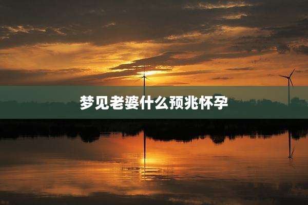 梦见老婆什么预兆怀孕