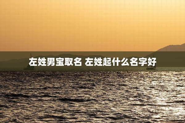 左姓男宝取名 左姓起什么名字好