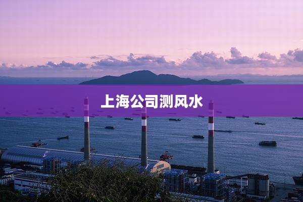 上海公司测风水
