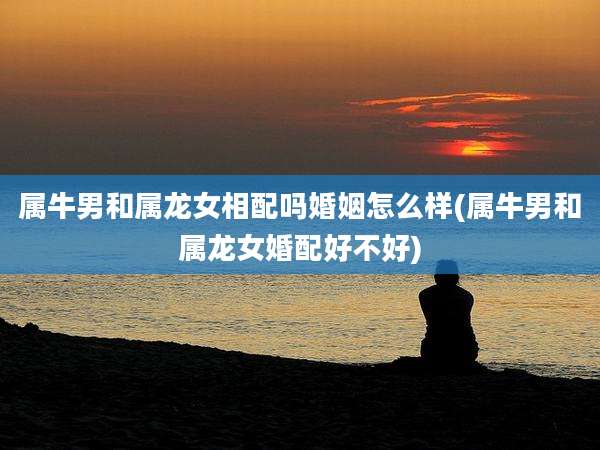 属牛男和属龙女相配吗婚姻怎么样(属牛男和属龙女婚配好不好)