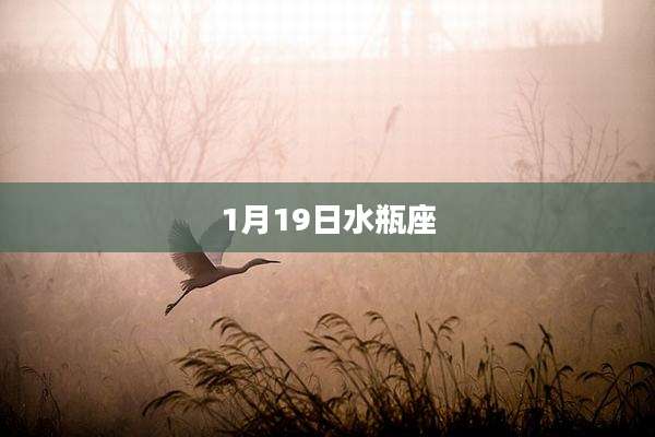 1月19日水瓶座