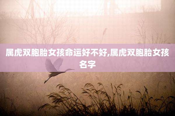 属虎双胞胎女孩命运好不好,属虎双胞胎女孩名字