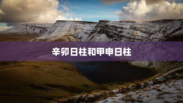 辛卯日柱和甲申日柱