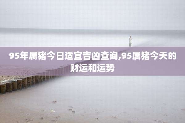 95年属猪今日适宜吉凶查询,95属猪今天的财运和运势