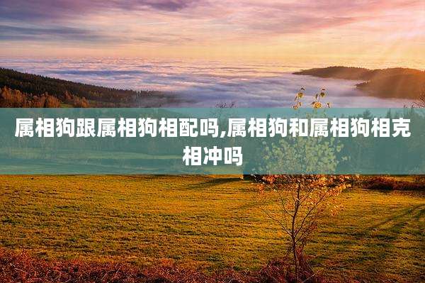 属相狗跟属相狗相配吗,属相狗和属相狗相克相冲吗