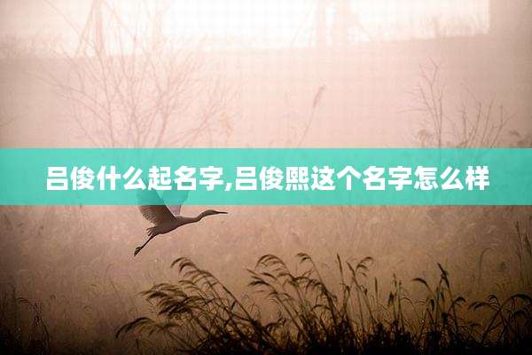 吕俊什么起名字,吕俊熙这个名字怎么样