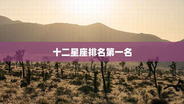 十二星座排名第一名