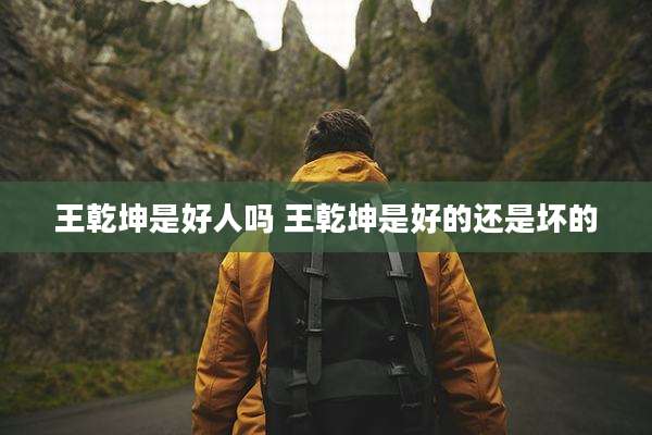 王乾坤是好人吗 王乾坤是好的还是坏的