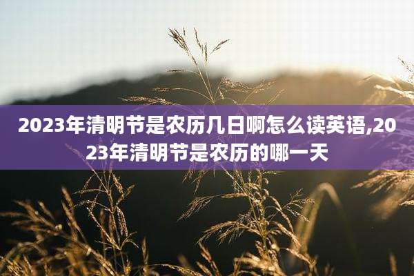 2023年清明节是农历几日啊怎么读英语,2023年清明节是农历的哪一天
