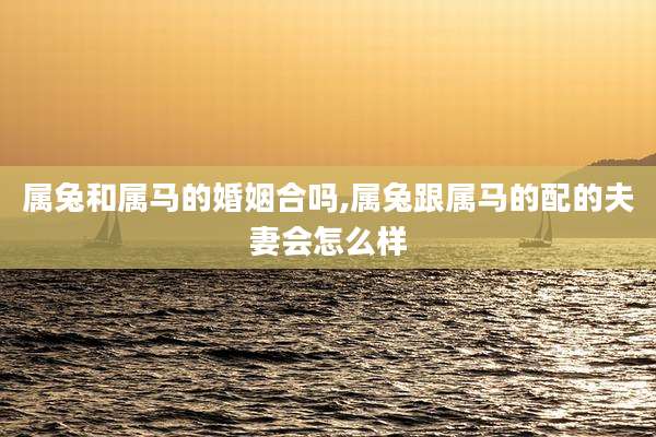 属兔和属马的婚姻合吗,属兔跟属马的配的夫妻会怎么样