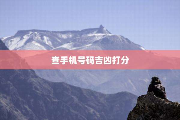 查手机号码吉凶打分
