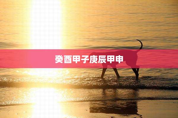 癸酉甲子庚辰甲申