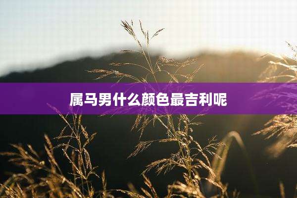 属马男什么颜色最吉利呢