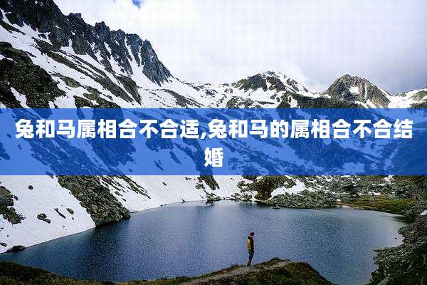 兔和马属相合不合适,兔和马的属相合不合结婚