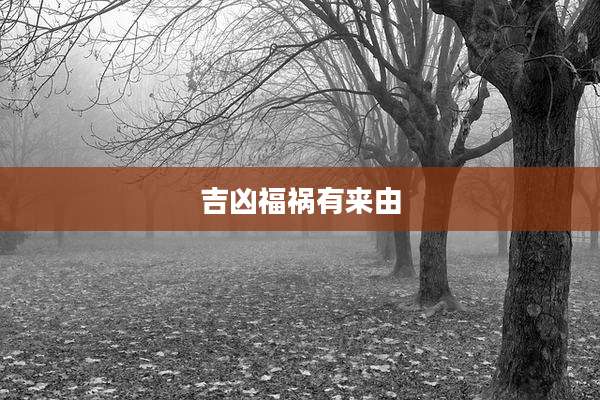吉凶福祸有来由
