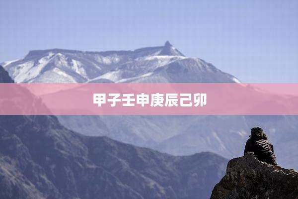 甲子壬申庚辰己卯