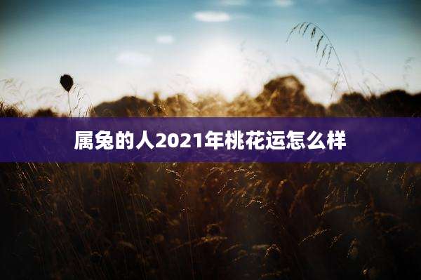 属兔的人2021年桃花运怎么样