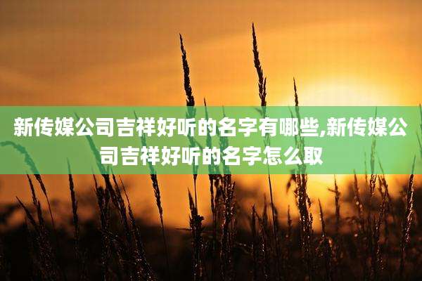 新传媒公司吉祥好听的名字有哪些,新传媒公司吉祥好听的名字怎么取