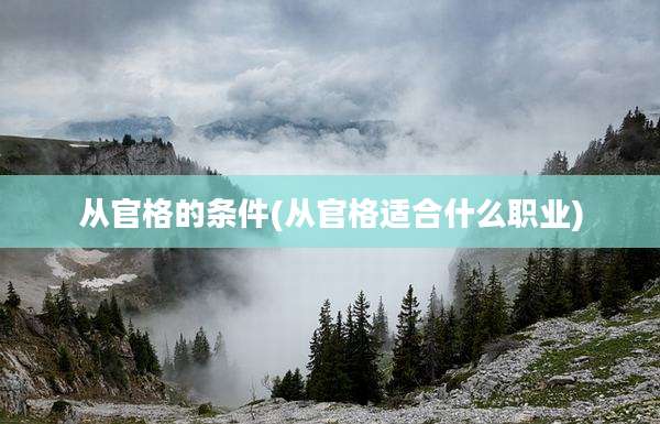 从官格的条件(从官格适合什么职业)