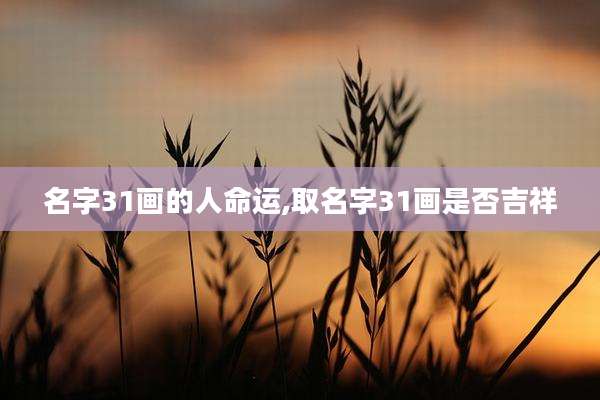 名字31画的人命运,取名字31画是否吉祥