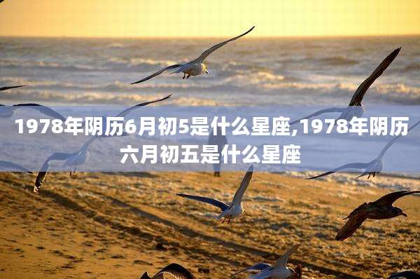 1978年阴历6月初5是什么星座,1978年阴历六月初五是什么星座
