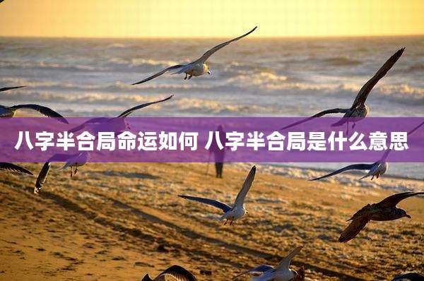 八字半合局命运如何 八字半合局是什么意思