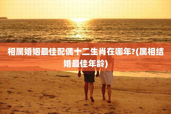 相属婚姻最佳配偶十二生肖在哪年?(属相结婚最佳年龄)