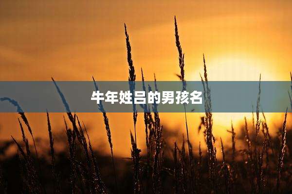 牛年姓吕的男孩名
