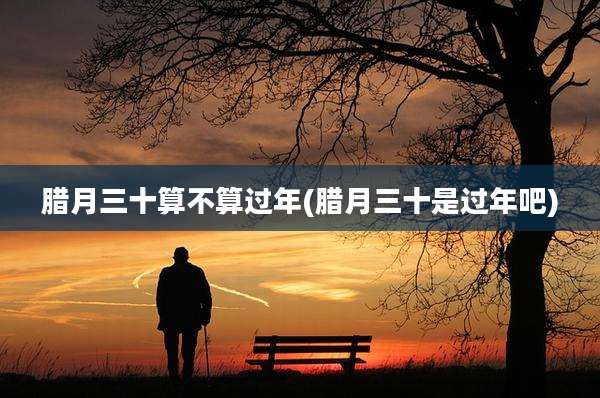 腊月三十算不算过年(腊月三十是过年吧)