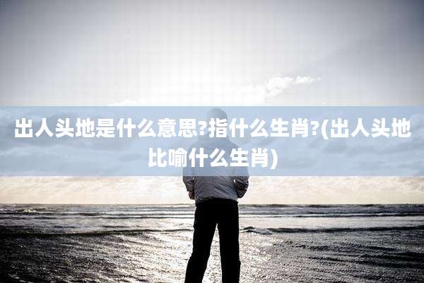 出人头地是什么意思?指什么生肖?(出人头地比喻什么生肖)