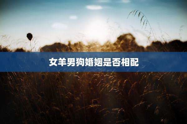 女羊男狗婚姻是否相配