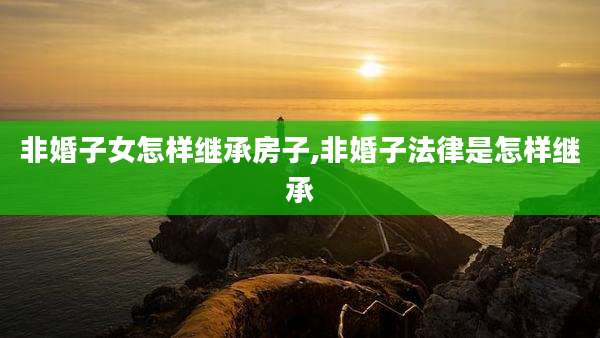 非婚子女怎样继承房子,非婚子法律是怎样继承