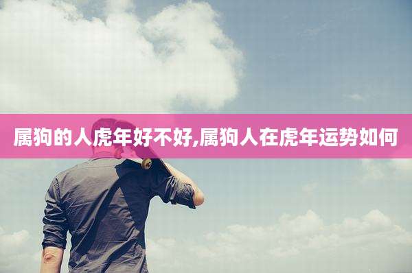 属狗的人虎年好不好,属狗人在虎年运势如何