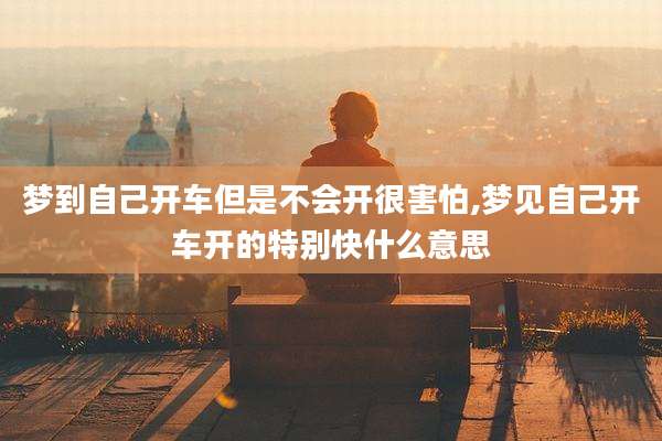 梦到自己开车但是不会开很害怕,梦见自己开车开的特别快什么意思