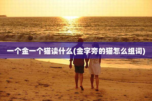 一个金一个猫读什么(金字旁的猫怎么组词)