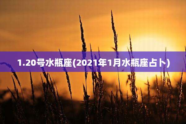 1.20号水瓶座(2021年1月水瓶座占卜)