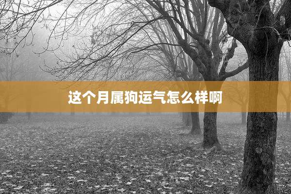 这个月属狗运气怎么样啊