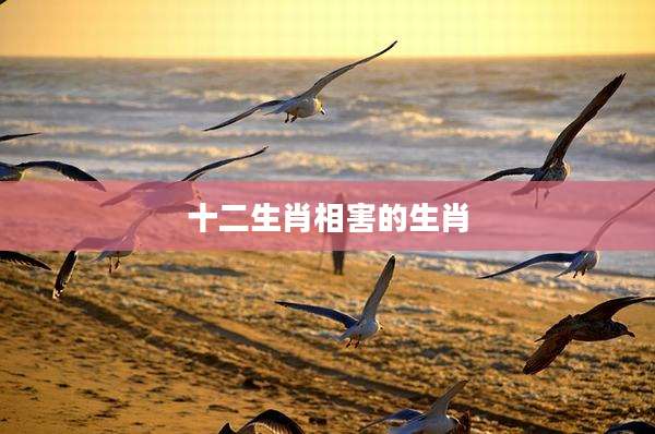 十二生肖相害的生肖