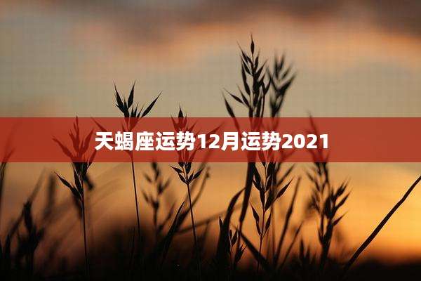 天蝎座运势12月运势2021