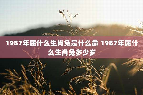 1987年属什么生肖兔是什么命 1987年属什么生肖兔多少岁
