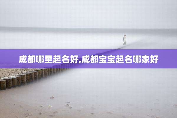 成都哪里起名好,成都宝宝起名哪家好