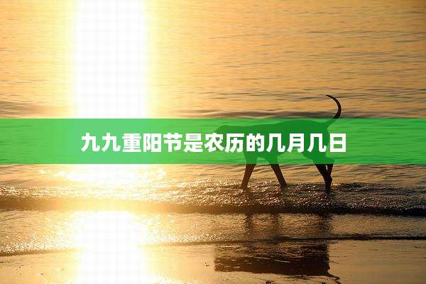 九九重阳节是农历的几月几日