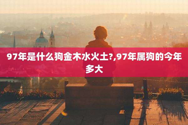 97年是什么狗金木水火土?,97年属狗的今年多大
