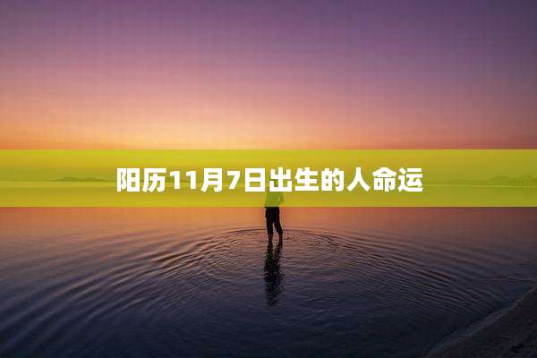 阳历11月7日出生的人命运