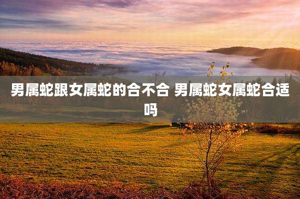 男属蛇跟女属蛇的合不合 男属蛇女属蛇合适吗