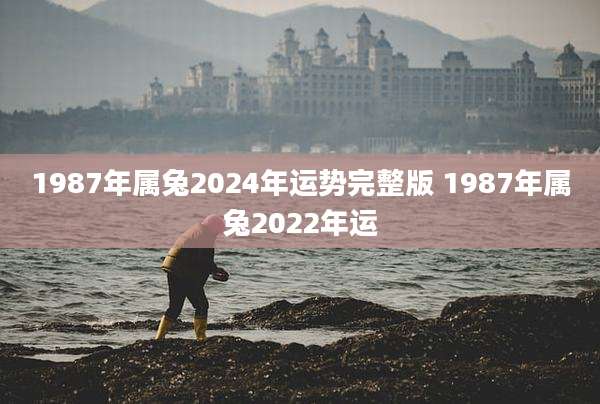 1987年属兔2024年运势完整版 1987年属兔2022年运