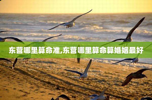 东营哪里算命准,东营哪里算命算婚姻最好